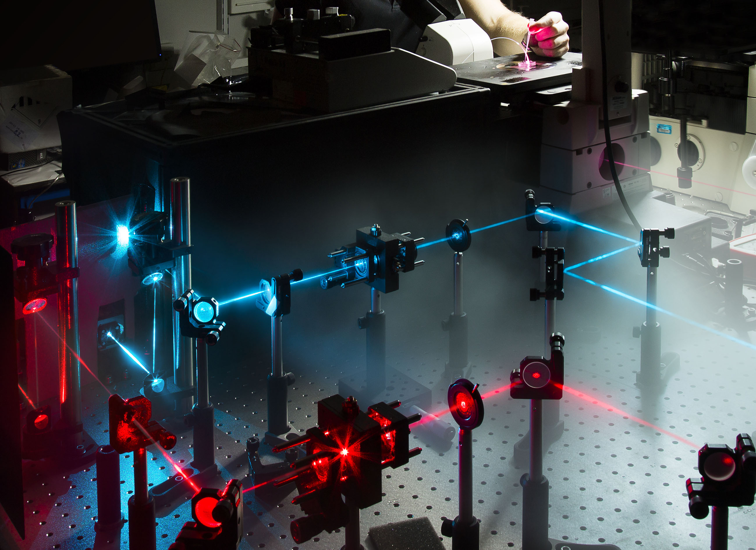 Horrocks Lab